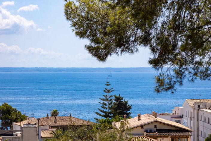 Image No.8-Propriété de 3 chambres à vendre à Calvià