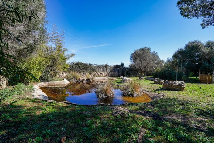 Image No.11-6 Bed Country House for sale