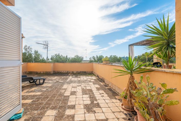 Image No.37-Propriété de 3 chambres à vendre à Palma de Mallorca