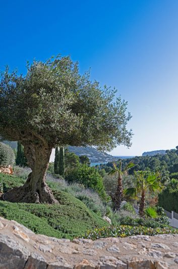 Image No.36-Villa de 5 chambres à vendre à Andratx