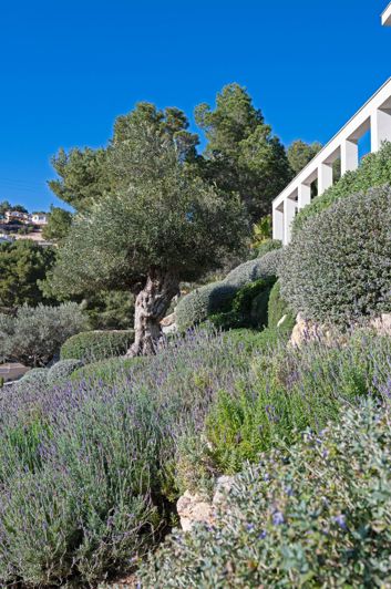 Image No.37-Villa de 5 chambres à vendre à Andratx