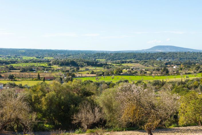 Image No.2-Plot for sale