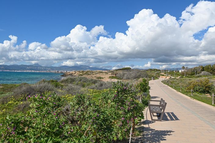 Image No.23-1 Bed Penthouse for sale