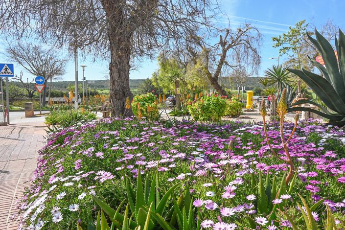 Image No.16-1 Bed Flat for sale