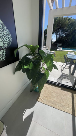 Image No.54-4 Bed Property for sale