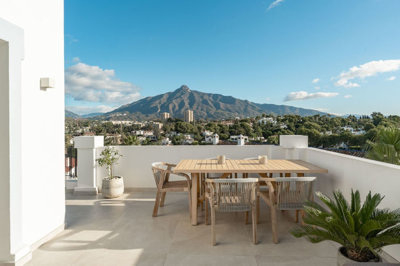 Fine and Country Costa del Sol most sold property