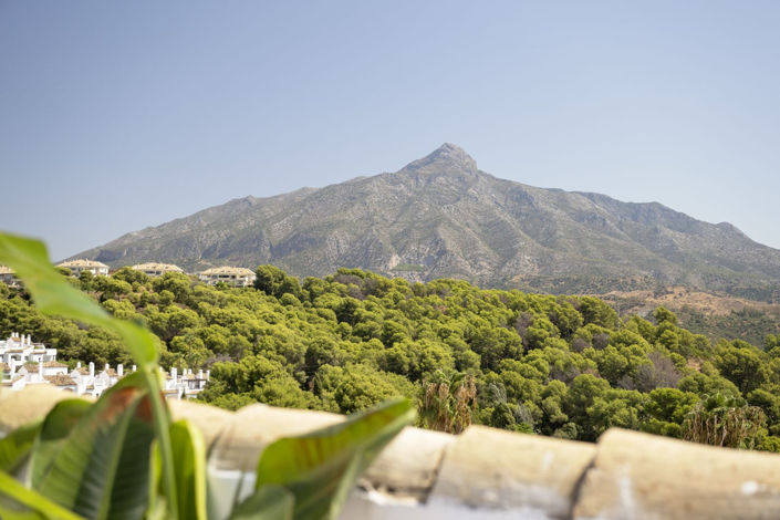 Image No.11-Propriété de 4 chambres à vendre à Nueva Andalucia