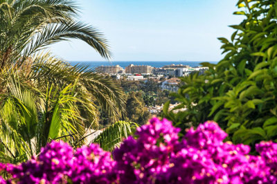 3-e898b2bb2a2fdfd06d2c39894dce8316