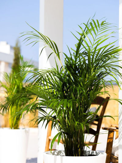 Image No.38-3 Bed Property for sale