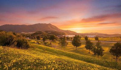 3-e898b2bb2a2fdfd06d2c39894dce8316