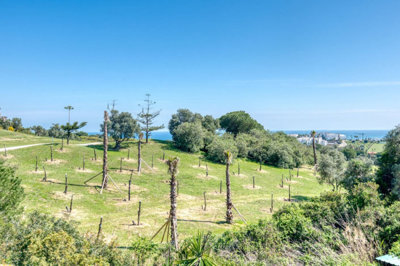 2-5bd7b9d04b45e33852eaf0ec6670150d