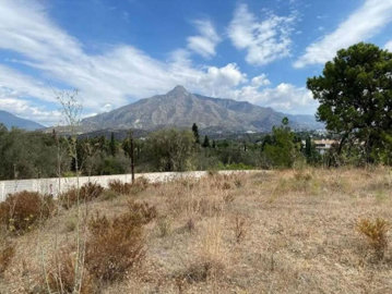 3-e898b2bb2a2fdfd06d2c39894dce8316