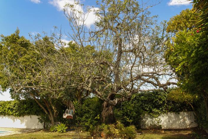 Image No.51-Maison de campagne de 3 chambres à vendre à Ferreiras