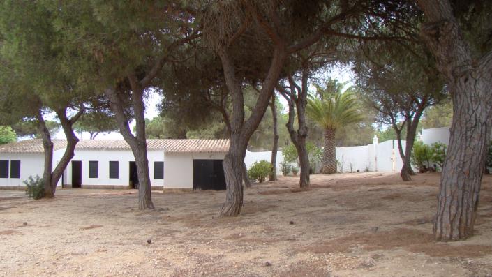 Image No.48-3 Bed House/Villa for sale