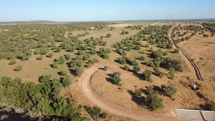 Image No.11-3 Bed Country Property for sale