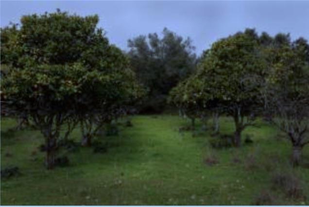 Image No.7-Propriété de 19 chambres à vendre à Albufeira