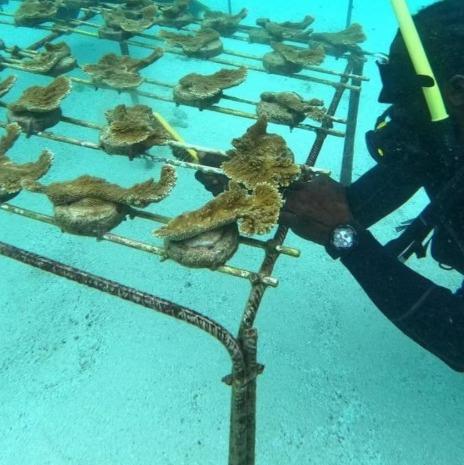 Image No.7-Land for sale