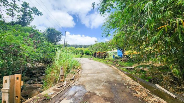 Image No.16-Maison de 3 chambres à vendre à Saint David