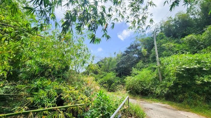 Image No.17-Maison de 3 chambres à vendre à Saint David