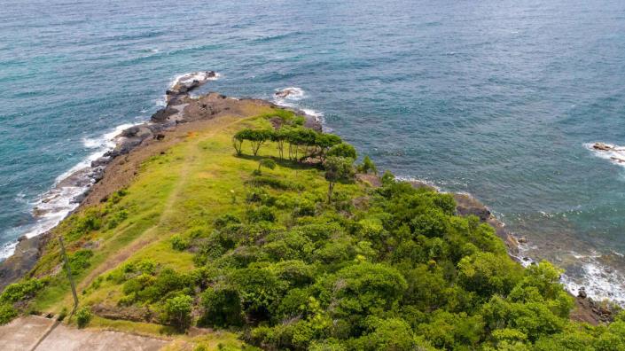 Image No.3-Terre à vendre à Saint David