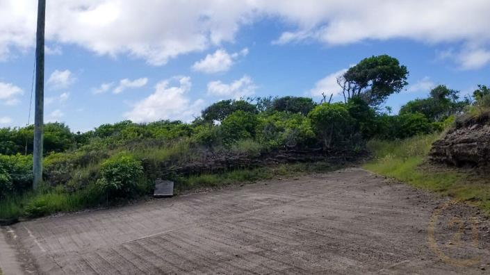 Image No.9-Terre à vendre à Saint David