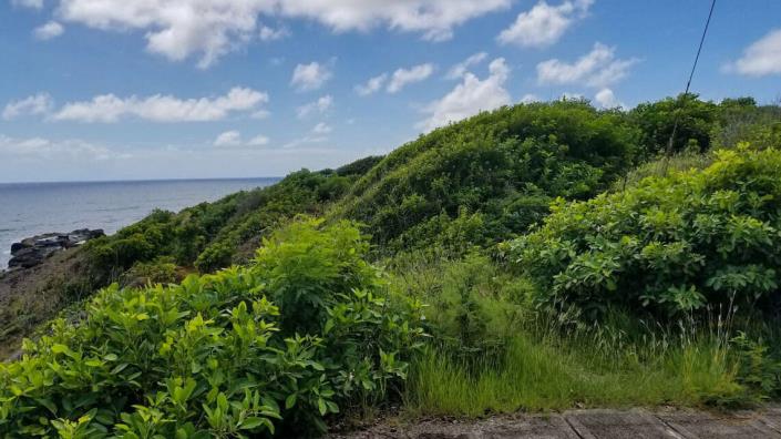 Image No.10-Terre à vendre à Saint David