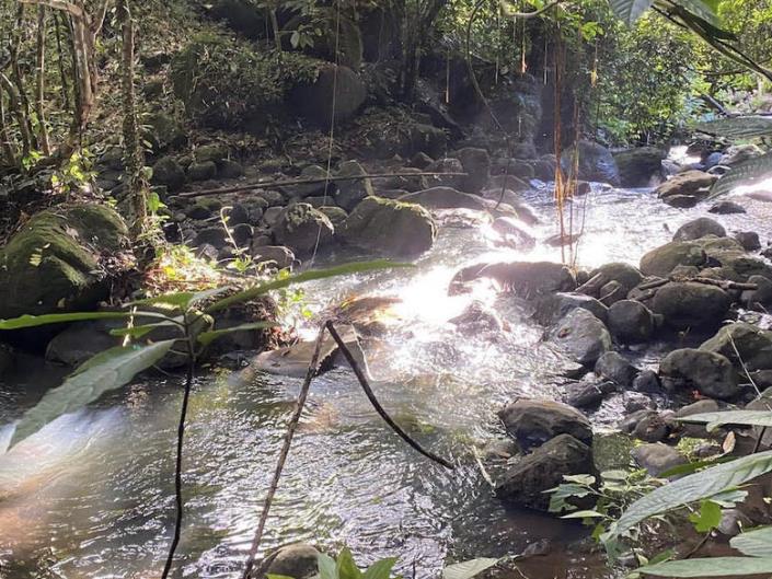 Image No.3-Land for sale