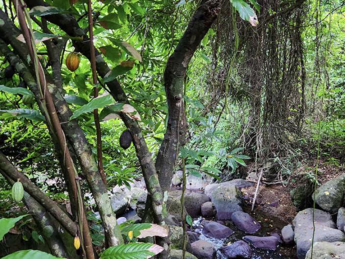 Image No.4-Land for sale