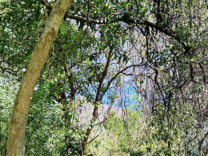 Image No.10-Land for sale