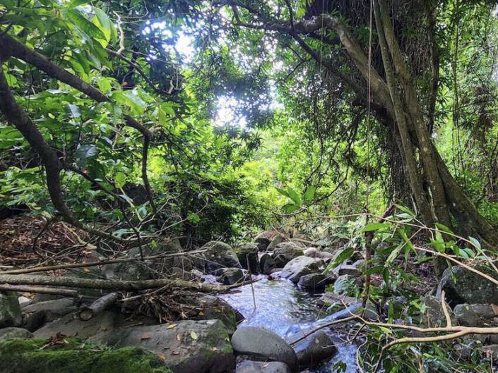 Image No.11-Land for sale