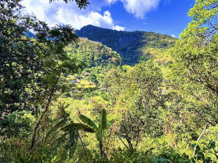 Image No.13-Land for sale