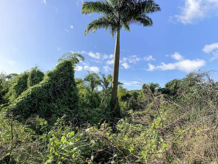 Image No.17-Land for sale