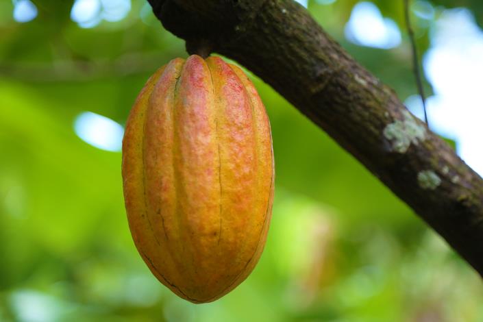 Image No.6-Hotel for sale