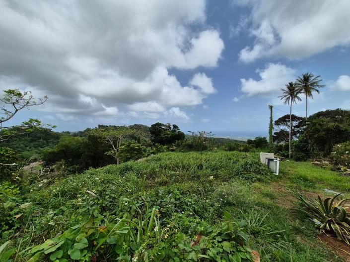 Image No.5-Land for sale