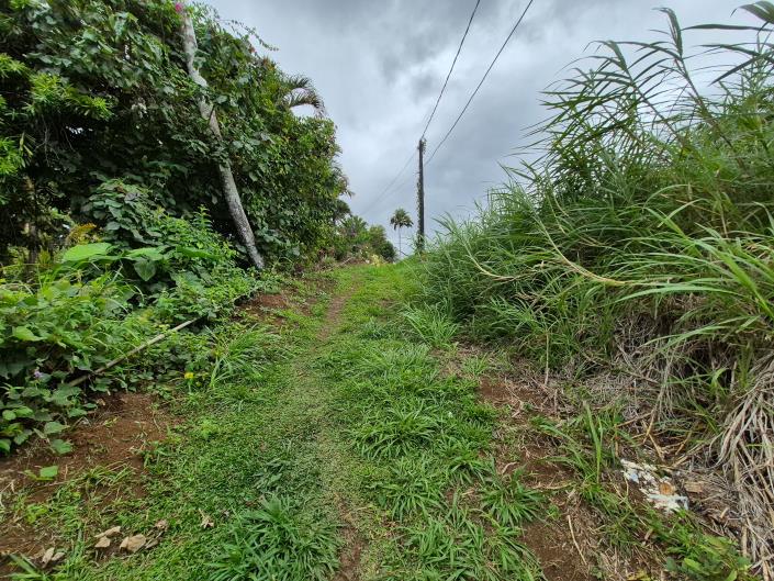 Image No.8-Land for sale