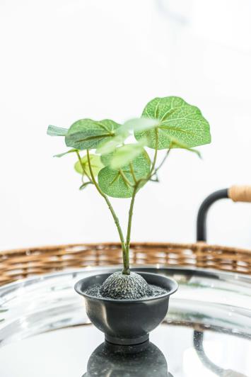 Image No.26-1 Bed Apartment for sale