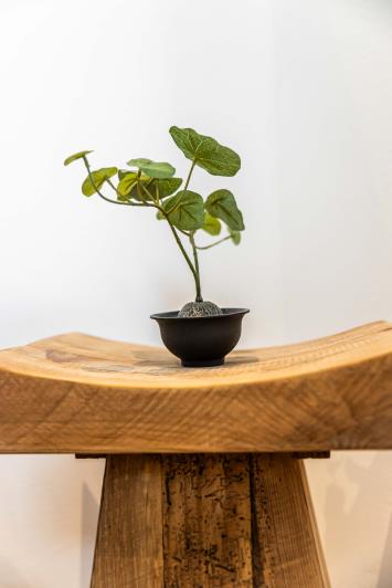 Image No.28-1 Bed Apartment for sale