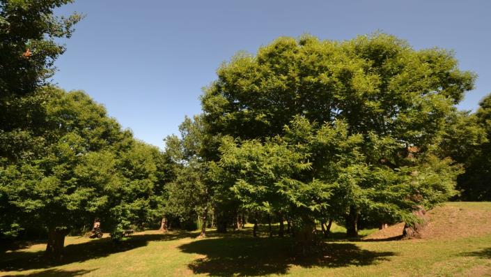 Image No.5-5 Bed Villa / Detached for sale