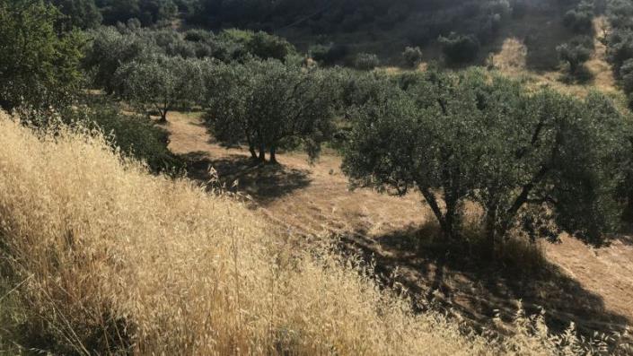 Image No.6-3 Bed Country House for sale