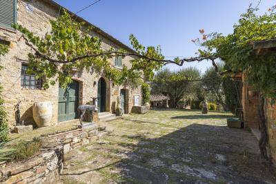 lucignano6