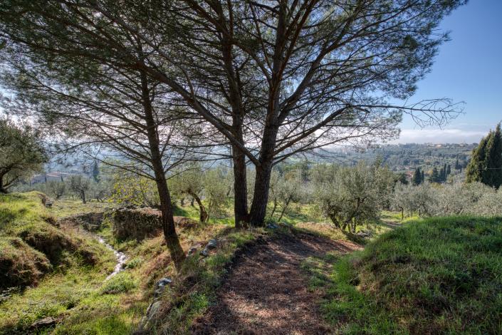 Image No.31-4 Bed Country House for sale