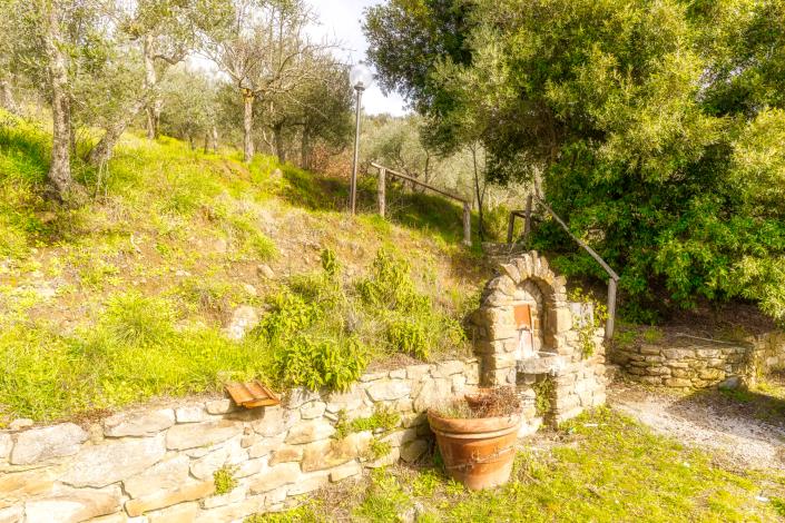 Image No.5-3 Bed Country House for sale