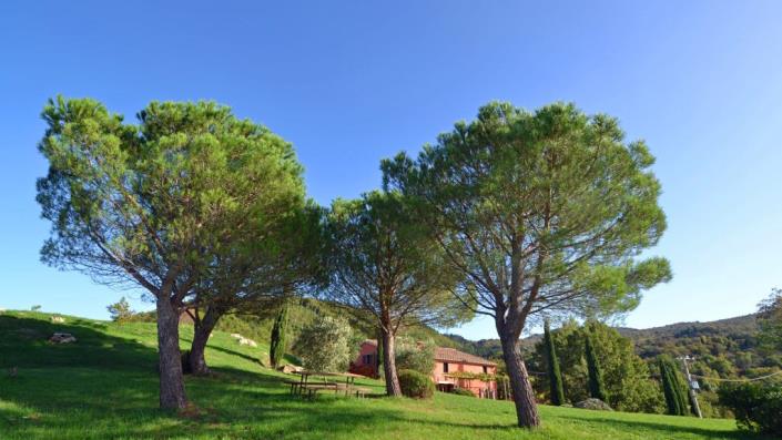 Image No.7-4 Bed Country House for sale