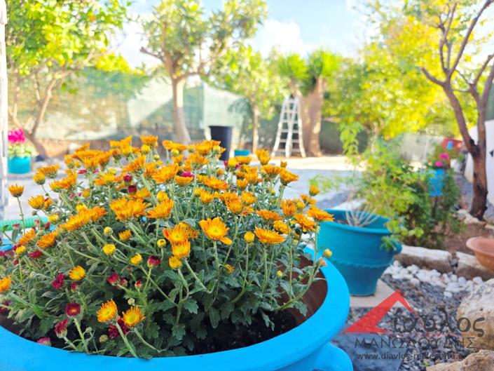 Image No.1-3 Bed House/Villa for sale