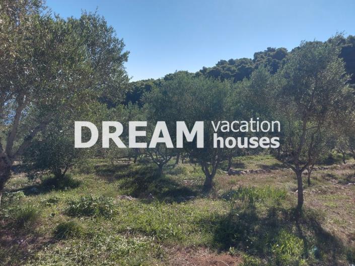 Image No.6-Terrain à vendre à Zante