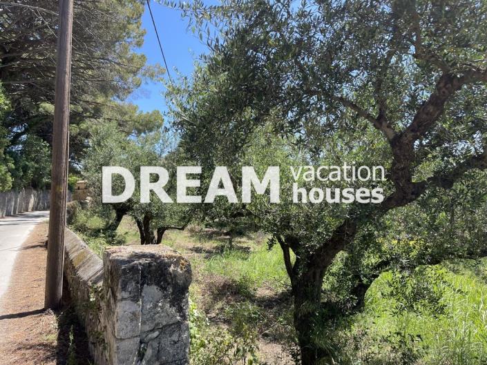 Image No.2-Plot for sale