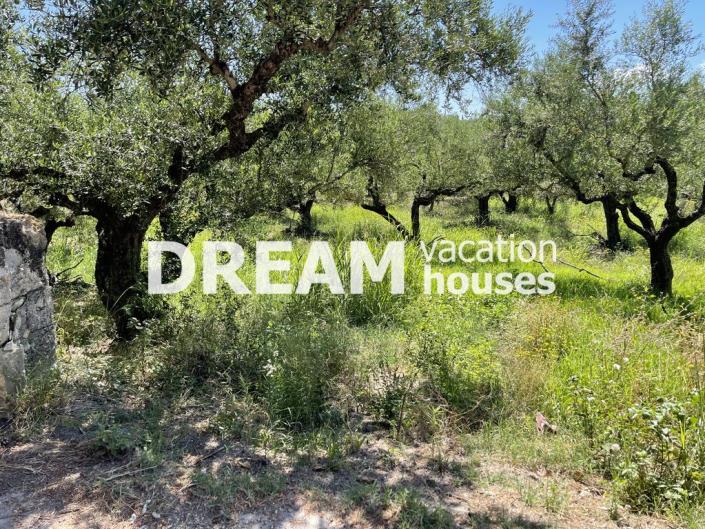 Image No.3-Plot for sale