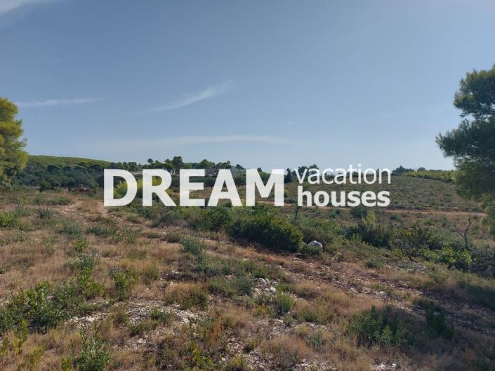 Image No.3-Terrain à vendre à Zante