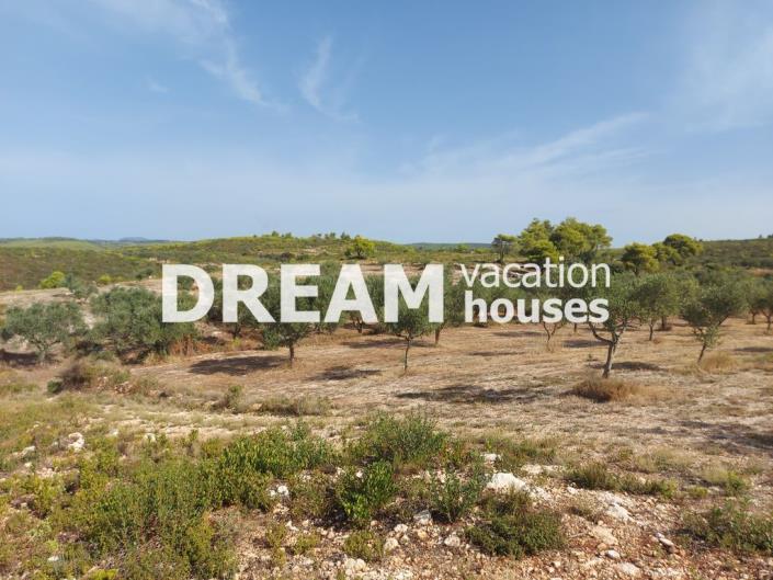 Image No.8-Terrain à vendre à Zante