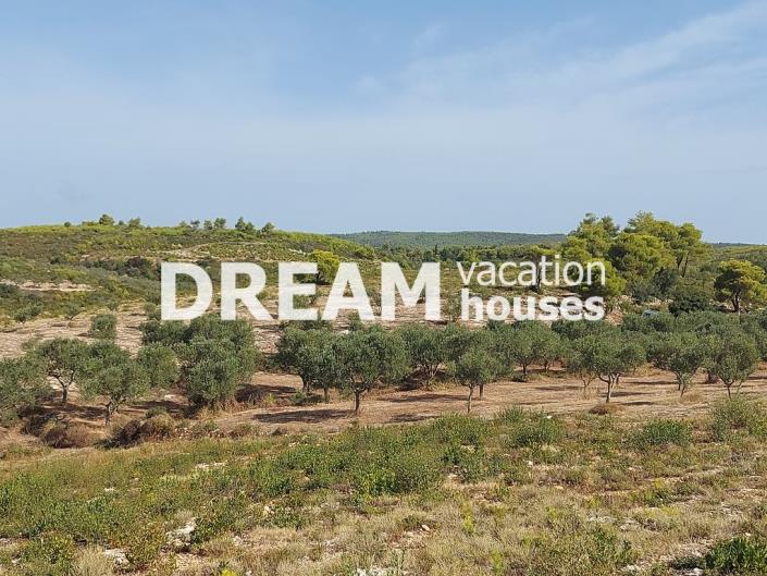 Image No.7-Terrain à vendre à Zante